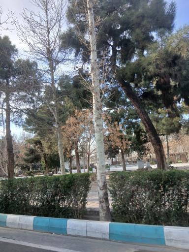 عکس بوستان ولیعصر