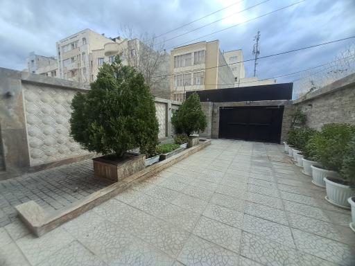 عکس رادیولوژی فک و صورت دکتر الهام مرادی