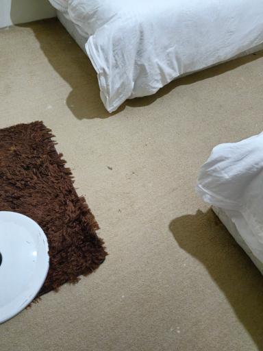 عکس هتل سفیر