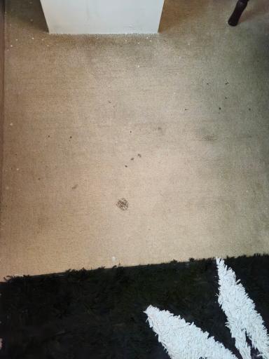 عکس هتل سفیر