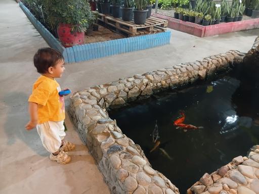 عکس خانه گل کوهستان