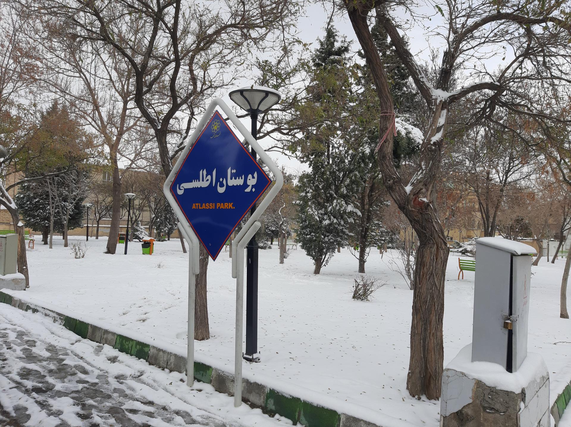 عکس بوستان اطلسی