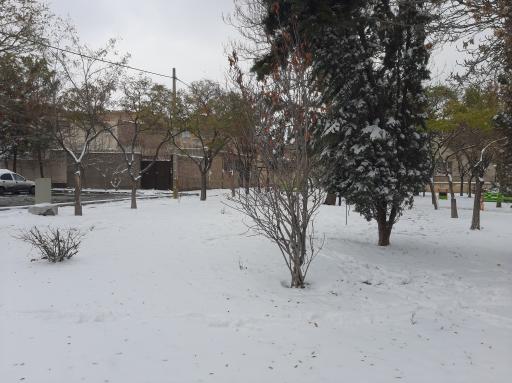 عکس بوستان اطلسی