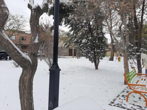 عکس بوستان اطلسی