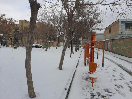 عکس بوستان اطلسی