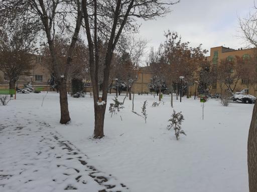 عکس بوستان اطلسی