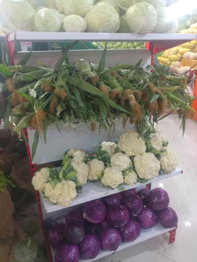 عکس بازار میوه و تره بار زیتون