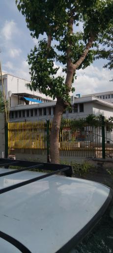 عکس بیمارستان شفا یحیائیان