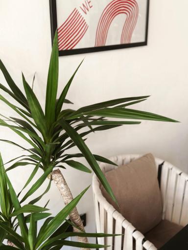 عکس کافه توکاف