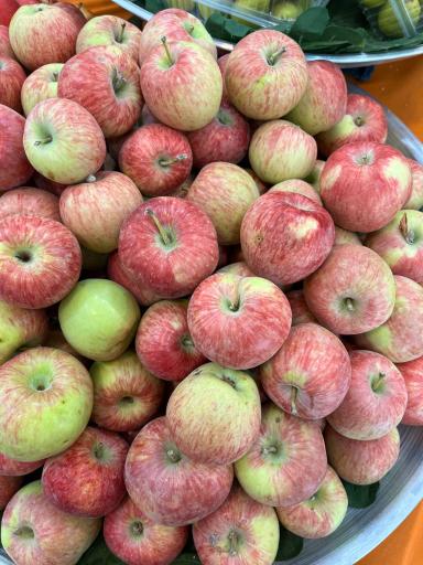 عکس سوپر میوه احمدی