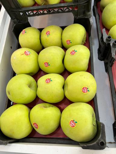 عکس سوپر میوه احمدی