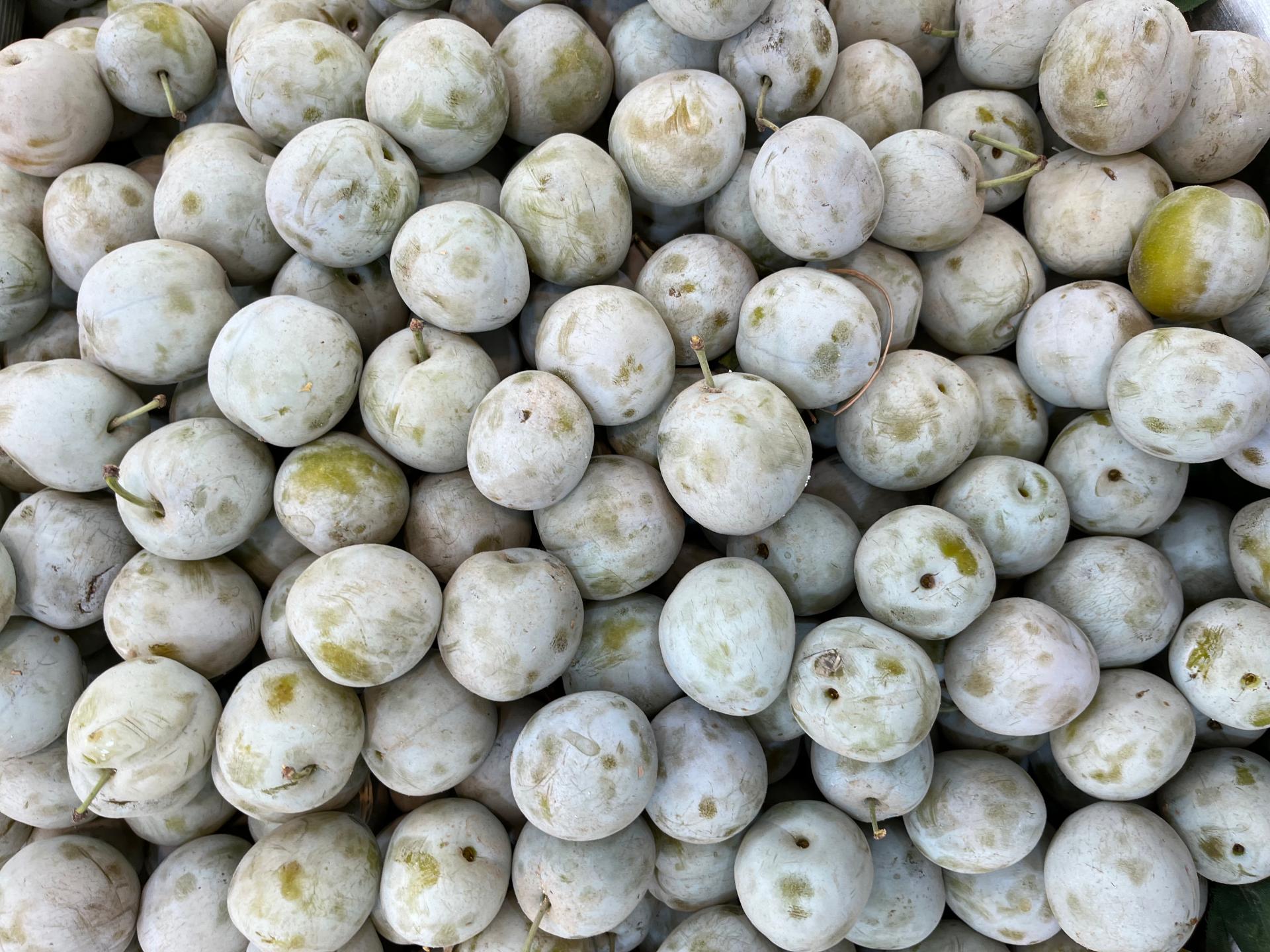 عکس سوپر میوه احمدی