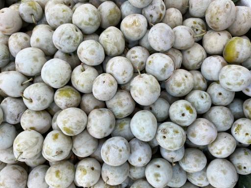 عکس سوپر میوه احمدی