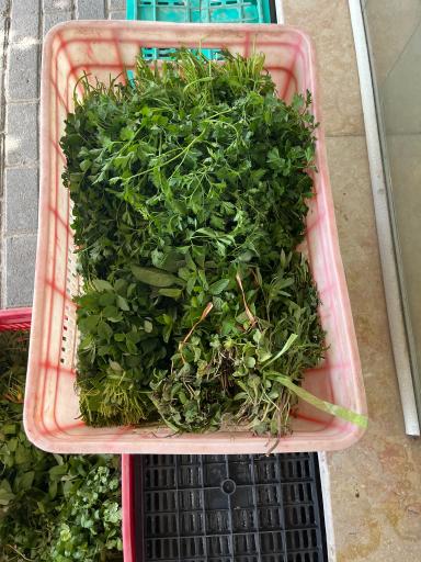 عکس سوپر میوه احمدی