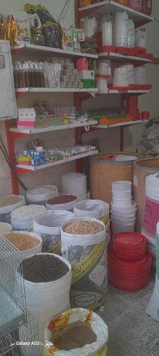 عکس آسیاب سجاد چراغی
