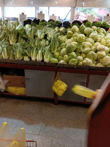 عکس بازار میوه و تره بار زیتون