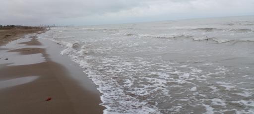 عکس ساحل میررود