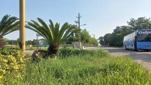 عکس پایانه مسافربری کلاچای