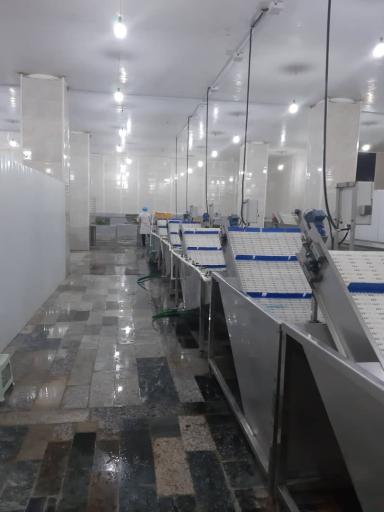 عکس سبزیجات خشک هودکا