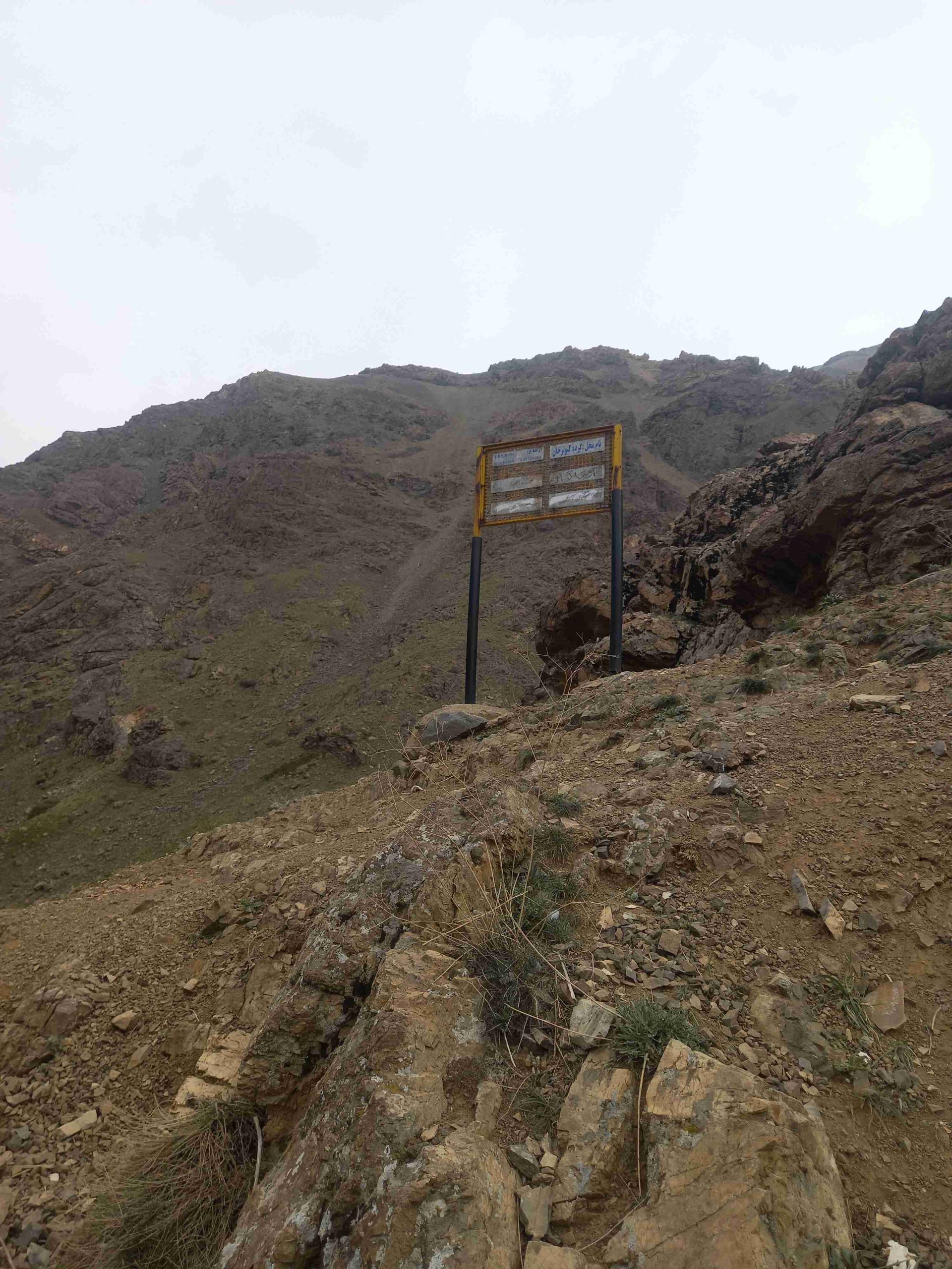 عکس گرده کبوتر خوان 