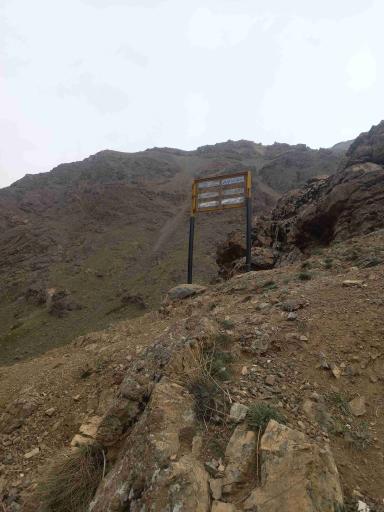 عکس گرده کبوتر خوان 