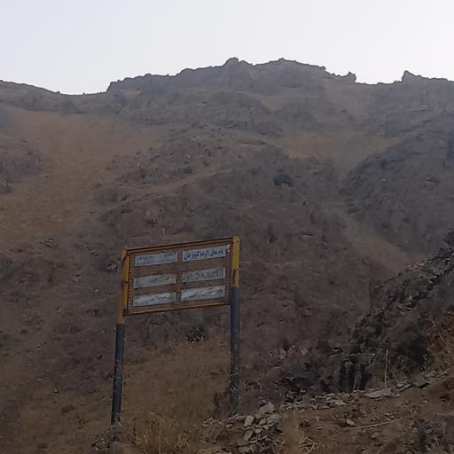 عکس گرده کبوتر خوان 