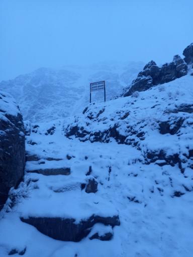 عکس گرده کبوتر خوان 