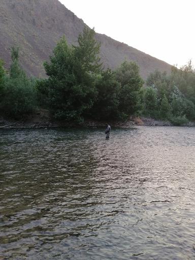عکس چم نور