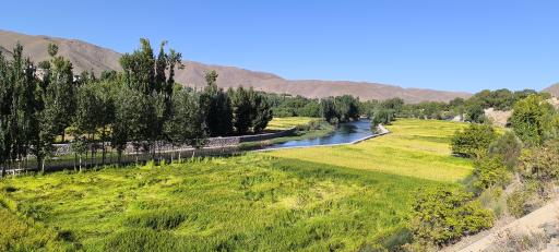 عکس چم نور