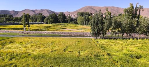 عکس چم نور
