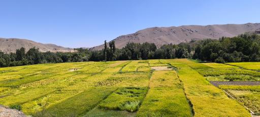عکس چم نور
