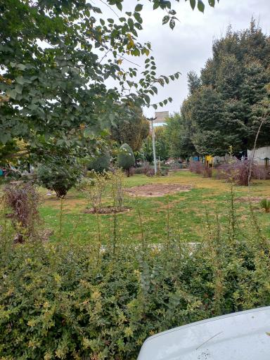 عکس پارک دلسا