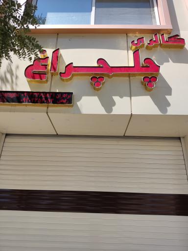 عکس گالری چلچراغ ربیعی