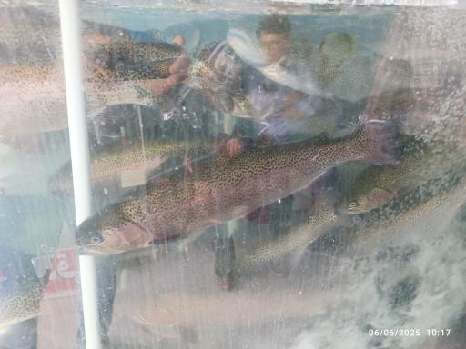 عکس پروتئینی برادران صادقی