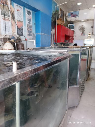 عکس پروتئینی برادران صادقی