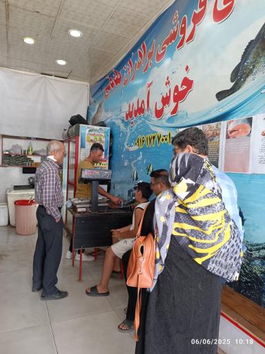 عکس پروتئینی برادران صادقی