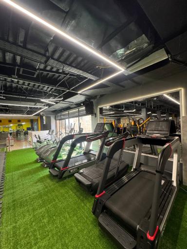 عکس باشگاه ورزشی بدنسازی ویهان VIP