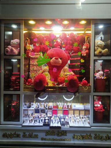 عکس گالری نگین شهر