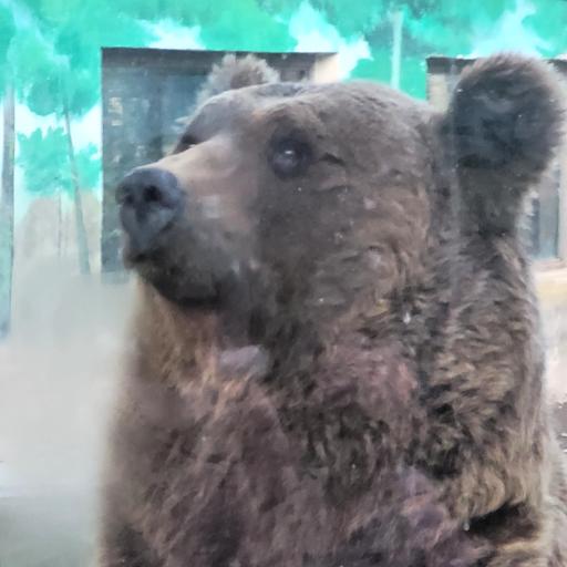 عکس باغ وحش چمران