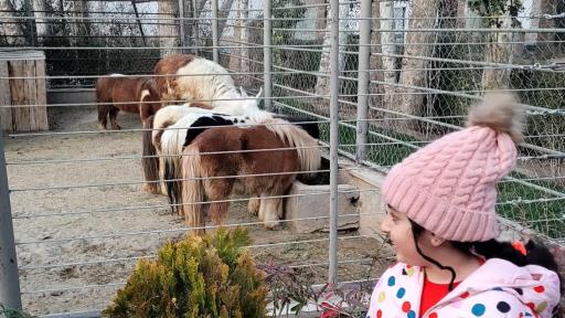 عکس باغ وحش چمران