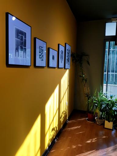 عکس گالری ورد