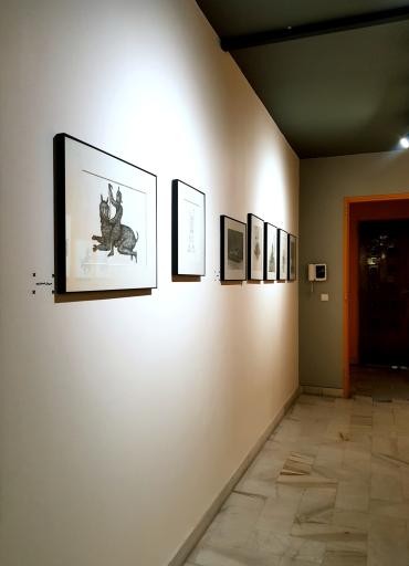 عکس گالری ورد