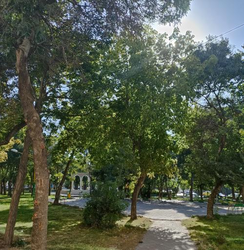 عکس پارک آرتا