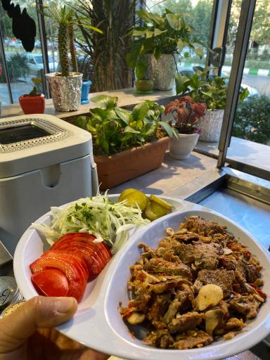 عکس کباب ترکی و فست فود  شونیز