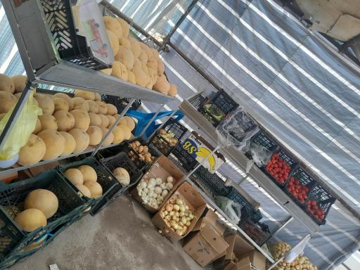 عکس میوه فروشی رمضانی