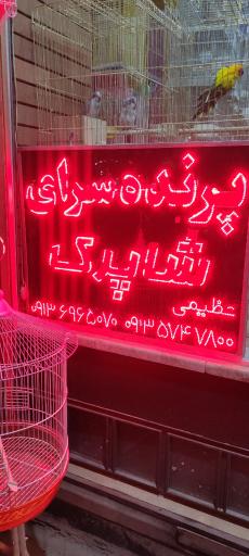 عکس پرنده سرای شاپرک