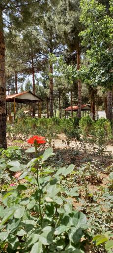 عکس سرویس بهداشتی بوستان