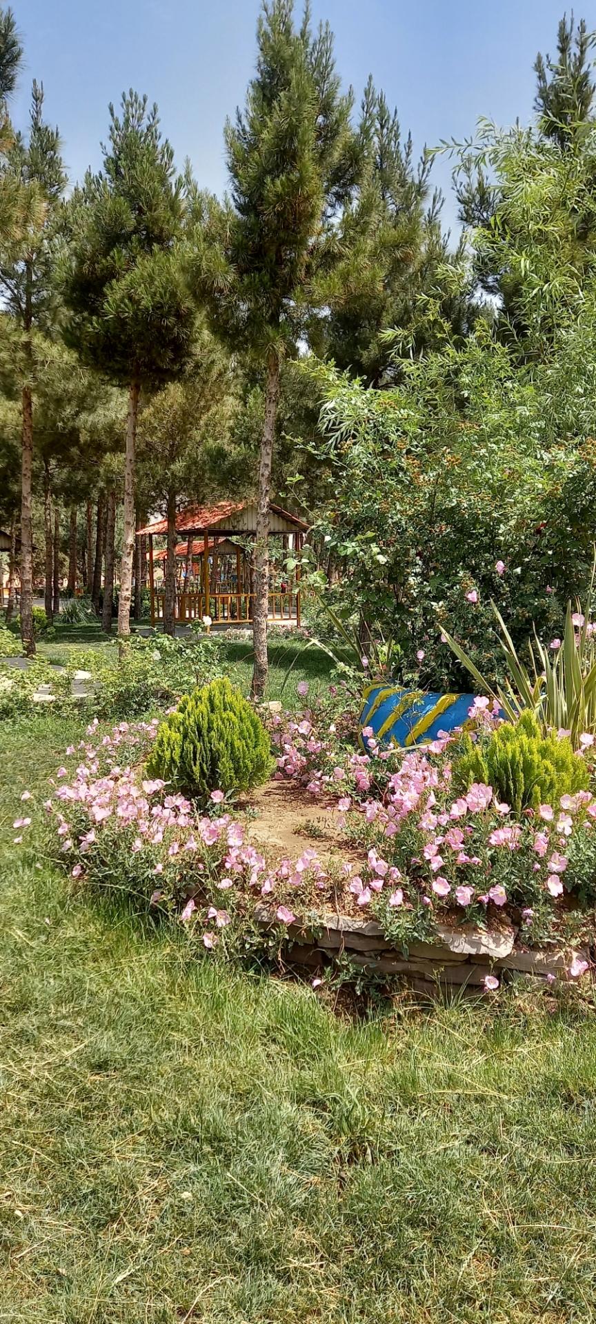 عکس سرویس بهداشتی بوستان