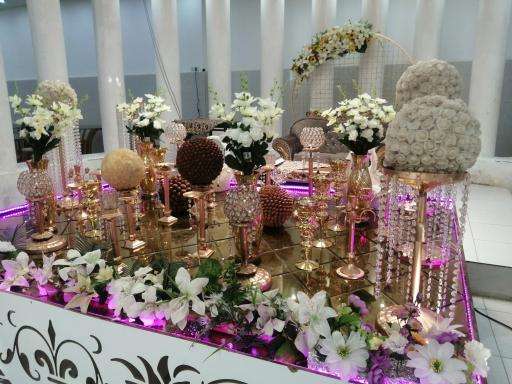 عکس باغ و تالار فدک