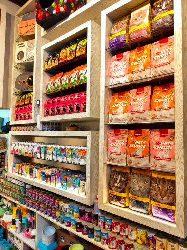 عکس پامر پت شاپ شعبه 2